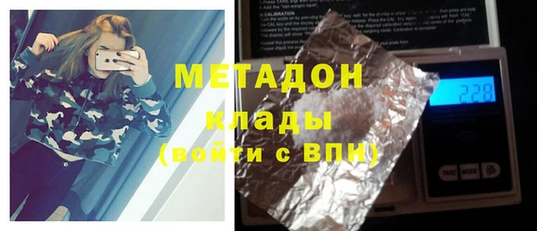 индика Аркадак
