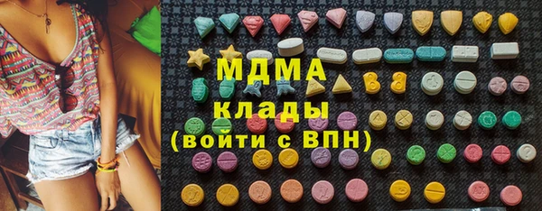 индика Аркадак