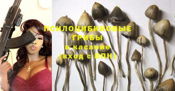 прущие крисы Армянск