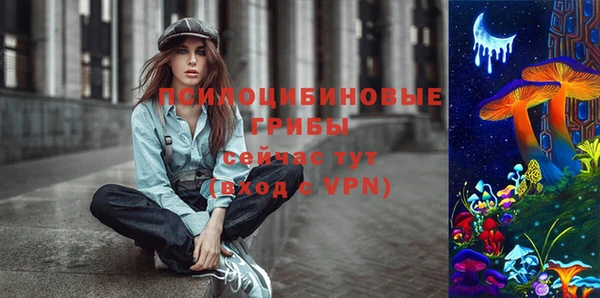 прущие крисы Армянск