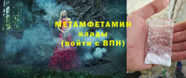 индика Аркадак