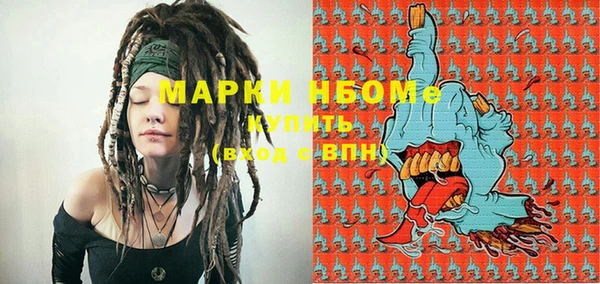 индика Аркадак