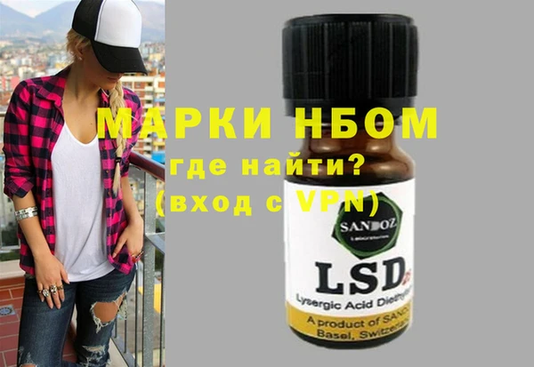 индика Аркадак