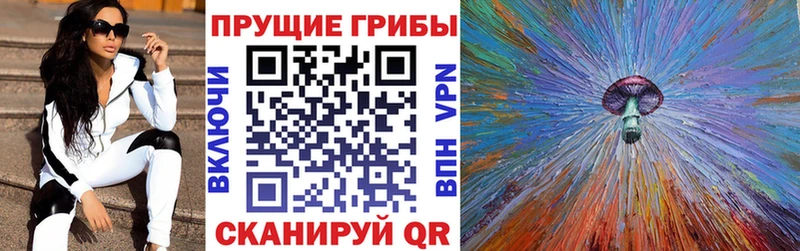 Галлюциногенные грибы прущие грибы Междуреченск