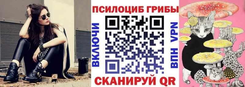 Псилоцибиновые грибы Psilocybe  Междуреченск 